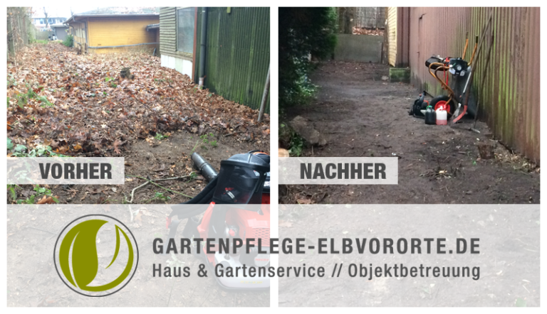 Laubentfernung vorher und nachher