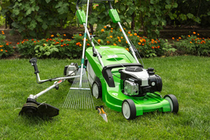 Haus- und Gartenservice Rissen und Umgebung