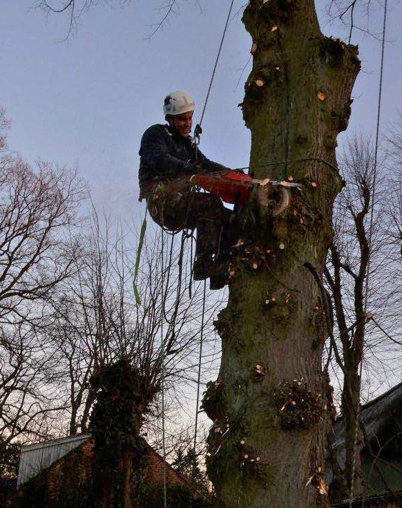 Gartenpflege in Rissen Sven Bähren