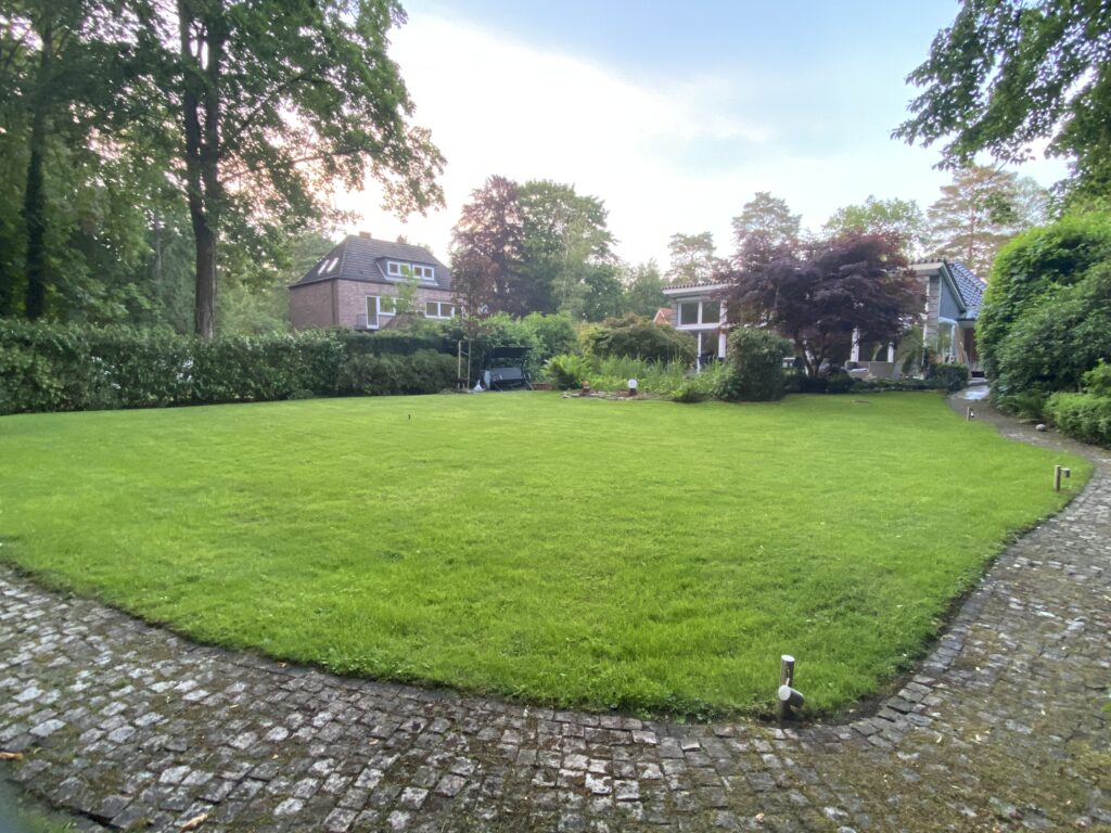 Gleichm&auml;&szlig;ig gr&uuml;ne Rasenfl&auml;che vor einem Haus in den Elbvororten